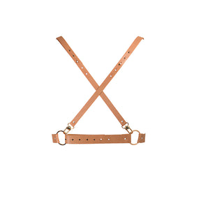Дамски колан X harness на Bijoux Indiscrets в кафяв цвят – изглед отпред: кръстосани каишки със златисти халки и катарами върху бял фон
