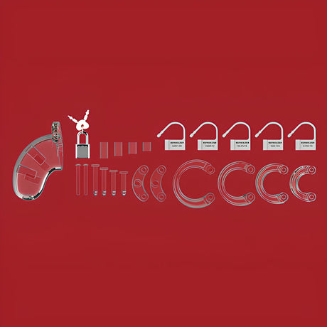 Всички части в комплекта на ManCage 01: прозрачна клетка, катинар с ключове, четири пръстена, щифтове и пет пластмасови пломби на червен фон