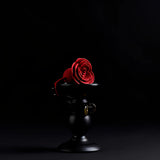 Наустник Zalo Rose Ball Gag с червена силиконова роза, поставен върху черна поставка на тъмен фон